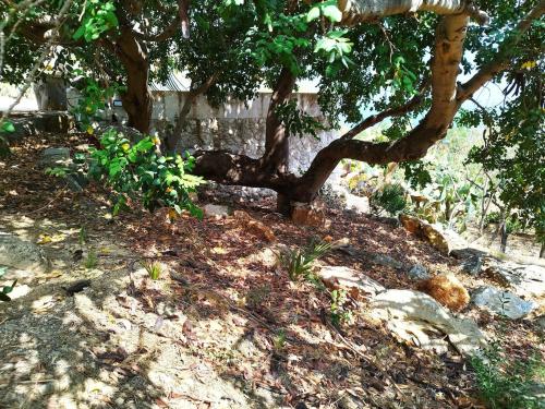 House in Nature - Zingaro Reserve - Scopello, Scopello (foto 5)
