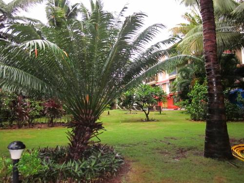 FF-1 Apartment, Candolim (foto 8)