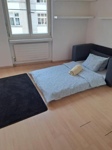 New Studio in the Center of Zurich Old Town Muhlegasse - Self Checkin, Curych (fotografie 6)