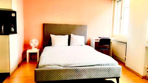 New Studio in the Center of Zurich Old Town Muhlegasse - Self Checkin, Curych (fotografie 2)