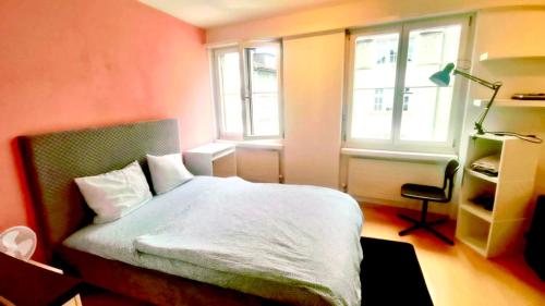 New Studio in the Center of Zurich Old Town Muhlegasse - Self Checkin, Curych (fotografie 9)