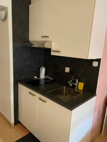New Studio in the Center of Zurich Old Town Muhlegasse - Self Checkin, Curych (fotografie 10)