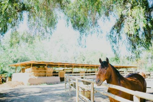 Hacienda Santa Cristina