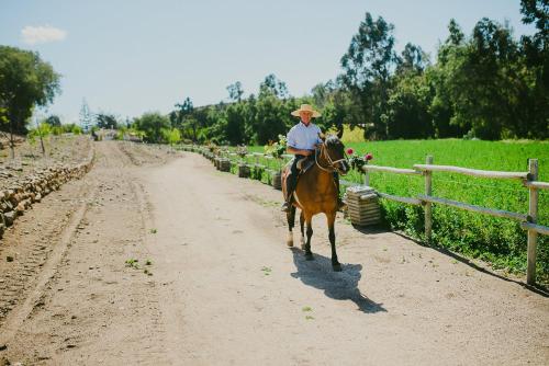 Hacienda Santa Cristina