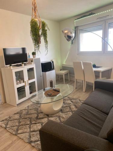 Appartement fonctionnel centre ville, Bordeaux (Foto 3)