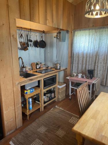 Aubin Sky Lodging at the YL Ranch - image 7