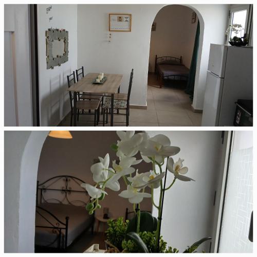 Central Apartments Fira NEW MANAGEMENT 2