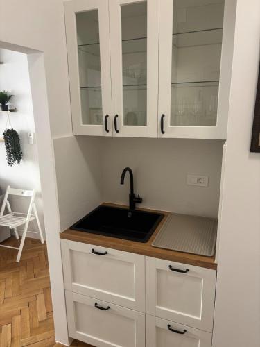 Trina apartment in the city centre, Lublaň (fotografie 10)