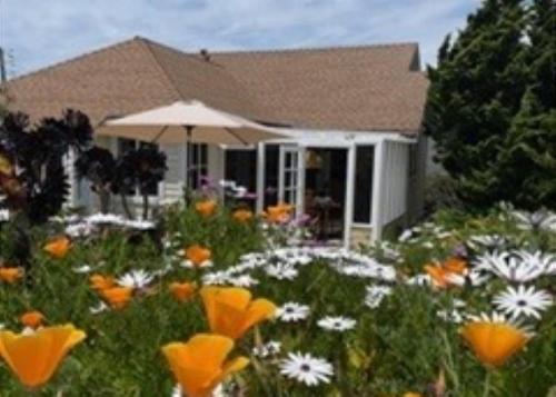 Gem on Park Hill, Cambria (photo 2)