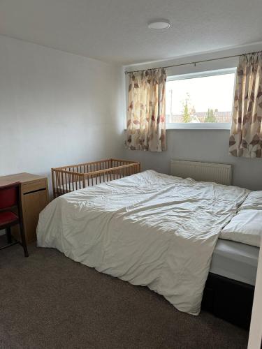 Cozy apt with good location in 加斯糖