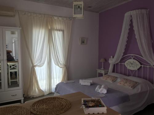 Harry's Studios, Gaios (fotografie 10)