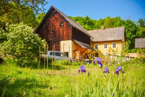 Brvohořík (Brvohorik) in Velka Bukovina