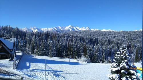 Apartamenty Z Widokiem na TATRY