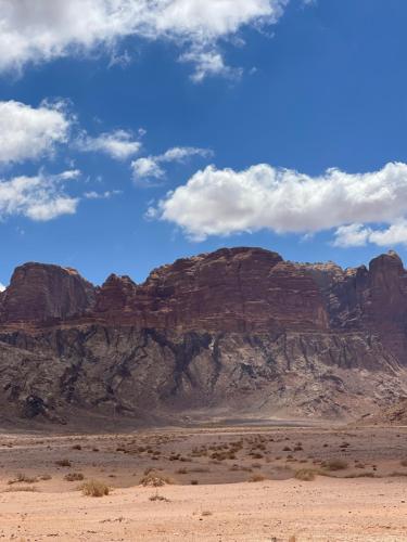 My X wadirum - image 5