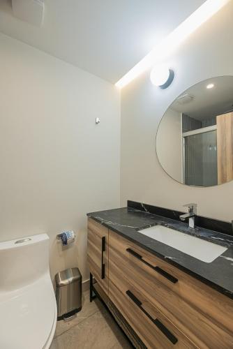 One-Bedroom Apartment image 2