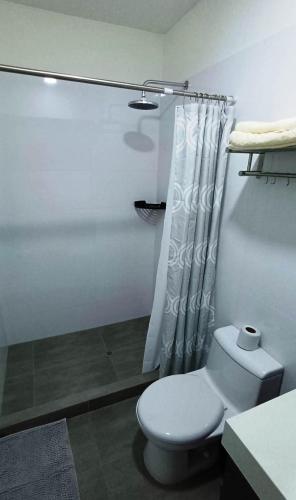 Apartment in Miraflores - Lima, Lima (foto 8)