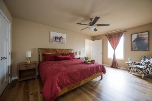 5BD - Backyard - Pool Access - 5 Mins to Texas A&M in College Station, USA