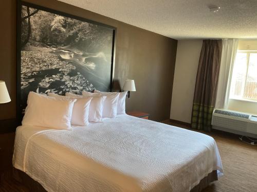 Super 8 by Wyndham Colorado Springs Airport in Colorado Springs, USA