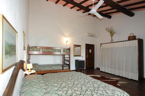 Campo di Carlo Farmhouse in Сасета