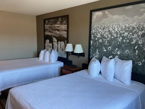 Super 8 by Wyndham Colorado Springs Airport - main image