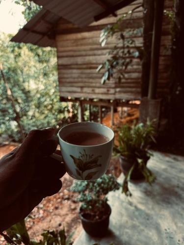 Eco Cabins Kitulgala in 키툴가라