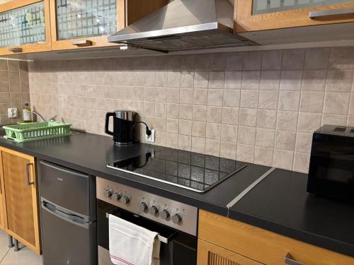 Apartment (4 Adults) image 3