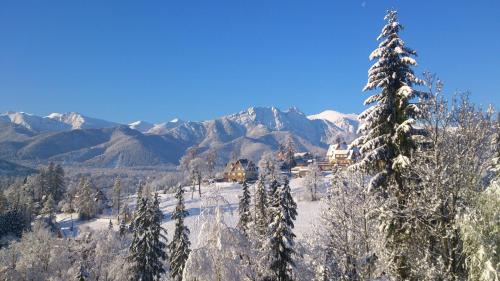 Pokoje Widokowe TATRA Ventus, Zakopane (foto 7)