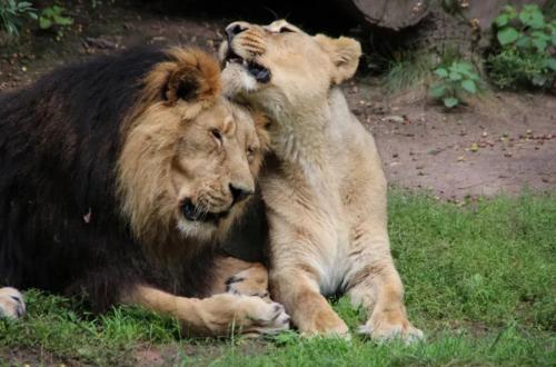 附近景點, living TIMELESS- Black Forest Moments Hüfingen (living TIMELESS- Black Forest Moments Hufingen) in 許芬根