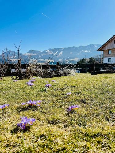 Apkārtne, Ferienwohnung Deep Mountain in Ofterschwang