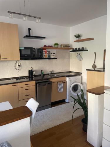 virtuve, Apartmán u Poustevníka (Apartman u Poustevnika) in Kajov