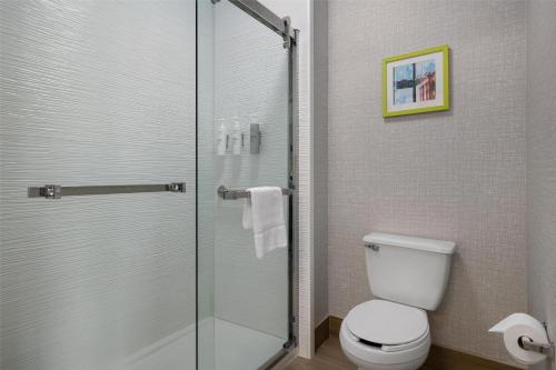 King Studio Suite with Sofa Bed - Non-Smoking image 7