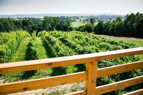 Winnica Nad Źródłem - Domki w winnicy z kominkami i tężniami