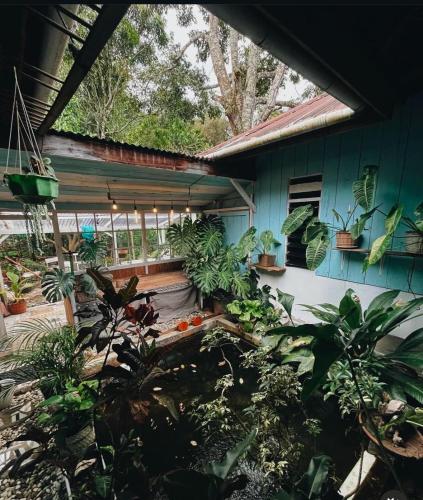 24 Traphouse, Rantepao (foto 4)