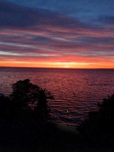 Kilátás, Dreamy Escape Where Romance Blossoms & Pets Play in Észak-Geelong