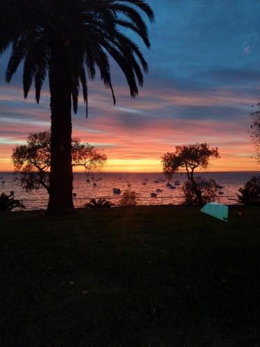 Kilátás, Dreamy Escape Where Romance Blossoms & Pets Play in Észak-Geelong