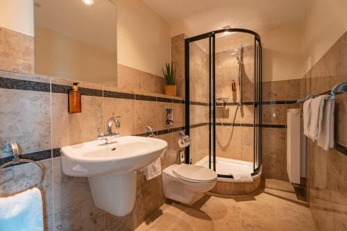 Hotel Sachsenbaude Oberwiesenthal - image 12