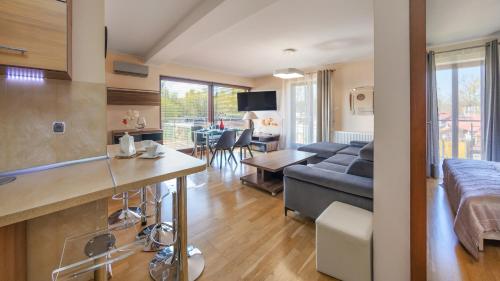 One-Bedroom Apartment image 9