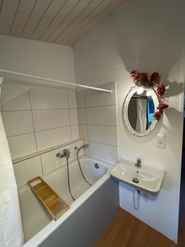 Loftwohnung in Naturnähe (Loftwohnung in Naturnahe) in Horriwil