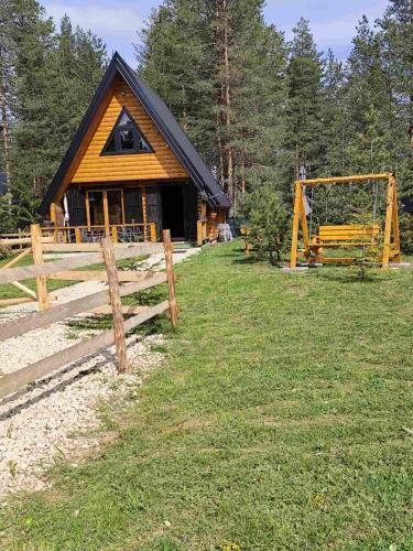 Pine forest-White, Žabljak (foto 6)