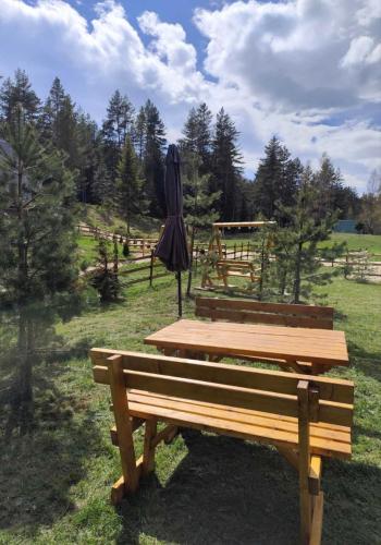 Pine forest-White, Žabljak (foto 4)