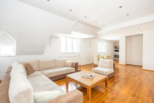 Spacious Apartment in Downtown