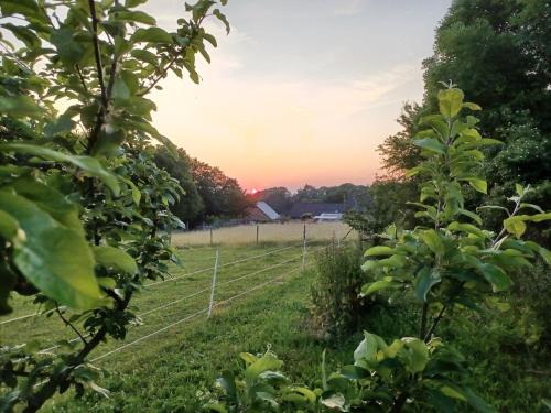 สภาพแวดล้อมโดยรอบ, At 2 donkeys - Country life with a large kitchen in สวิทาวี