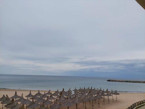 Hotel Laguna – Mangalia, CA
