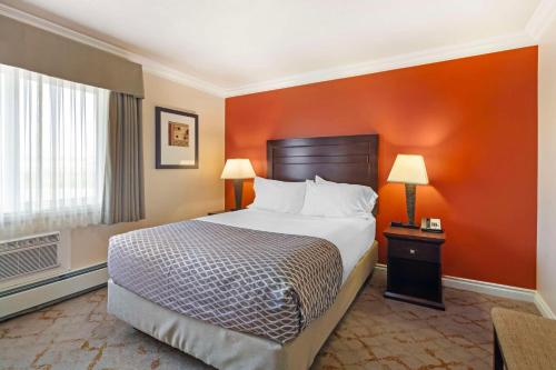 Apartment with Queen Bed and Sofa Bed - Pet Friendly