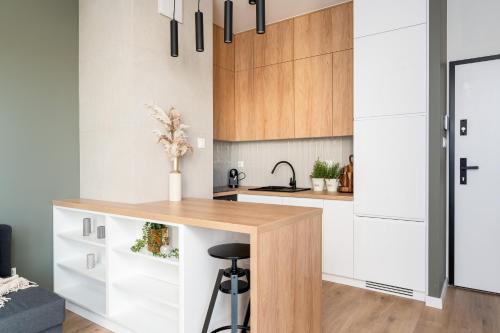 Malila Premium Residence - Cracow Rakowicka 20L, Cracovia (foto 7)