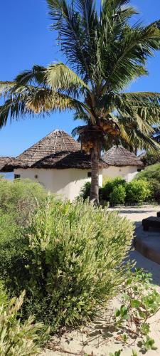 Hôtel de la Plage (Hotel de la Plage) in Ifaty