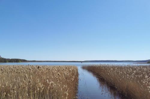 Drewutnia nad Hańczą