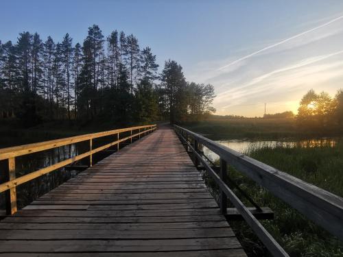 Drewutnia nad Hańczą