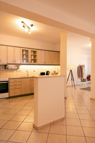 Konyha, Manolia house near beach, near airport in Ag. Marina (Kropia)