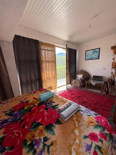 Prespa`s Balcony Guesthouse in Tušemišta